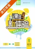 课时新体验 8年级 数学 人教版 上 答案 (朱海峰 韦忠兰) - 封面