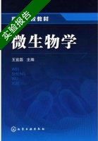 微生物学 实验报告及答案 (王宜磊) - 封面