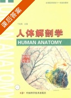 人体解剖学 课后答案 (丁自海) - 封面
