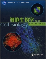 细胞生物学 第三版 课后答案 (翟中和) - 封面