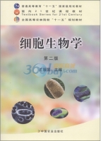 细胞生物学 第二版 课后答案 (沈振国)