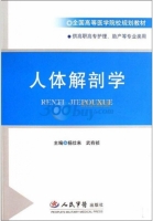 人体解剖学 课后答案 (杨壮来 武有祯)