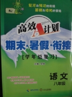高效A计划 期末·暑假·衔接 学年总复习 八年级 语文 RJ 答案 海南出版社 - 封面