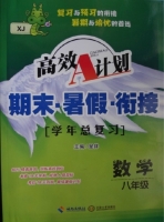 高效A计划 期末·暑假·衔接 学年总复习 八年级 数学 RJ 答案 (呈祥) 海南出版社 中南大学出版社 - 封面