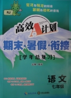 高效A计划 期末·暑假·衔接 学年总复习 七年级 语文 RJ 答案 (呈祥) 海南出版社 中南大学出版社 - 封面