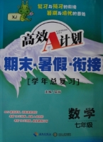 高效A计划 期末·暑假·衔接 学年总复习 七年级 数学 RJ 答案 (呈祥) 海南出版社 中南大学出版社 - 封面