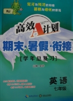 高效A计划 期末·暑假·衔接 学年总复习 七年级 英语 RJ 答案 (呈祥) 海南出版社 中南大学出版社 - 封面