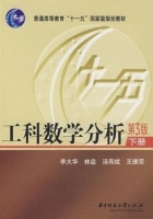 工科数学分析 第三版 下册 课后答案 (李大华 林益) - 封面