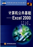 计算机公共基础 - Excel 2000 课后答案 (高林 袁玫)