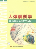 人体解剖学 课后答案 (丁自海)