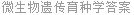 微生物遗传育种学答案