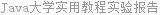 Java大学实用教程实验报告