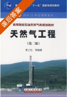 天然气工程 第二版 课后答案 (李士伦) - 封面
