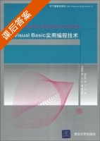 Visual Basic实用编程技术 课后答案 (徐天伟 肖飞) - 封面