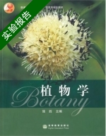 植物学 实验报告及答案) - 封面