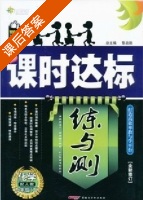 课时达标 练与测 化学 九年级 下 答案 人教版 (黎启阳) - 封面