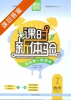 课时新体验 7年级 数学 人教版 下 答案 (朱海峰 王新刚) - 封面