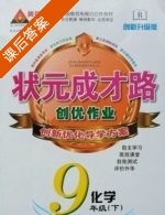 黄冈 状元成才路 创优作业 九年级 下 化学 答案 (成正贵) - 封面