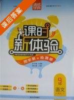 课时新体验 9年级 语文 人教版 下 答案 (朱海峰 王理华) - 封面