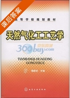 天然气化工工艺学 课后答案 (魏顺安) - 封面