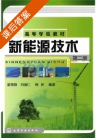 新能源技术 第二版 课后答案 (翟秀静 刘奎仁) - 封面
