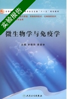 微生物学与免疫学 实验报告及答案 (甘晓玲) - 封面