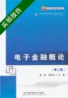 电子金融概论 第二版 实验报告及答案 (陈进) - 封面