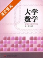 大学数学 课后答案 (梁涛) - 封面
