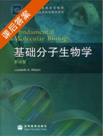 基础分子生物学 课后答案 ([美]Lizabeth A) - 封面
