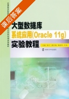 大型数据库系统应用 Oracle 11g 实验教程 课后答案 (杨宁) - 封面
