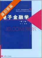 电子金融学 第二版 课后答案 (杨青) - 封面