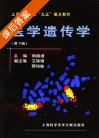 医学遗传学 第二版 课后答案 (陆振虞 顾鸣敏) - 封面