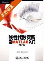 线性代数实践及MATLAB入门 第二版 课后答案 (陈怀琛 龚杰民) - 封面