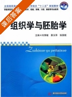 组织学与胚胎学 课后答案 (刘秀敏) - 封面
