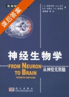神经生物学 从神经元到脑 课后答案 (Nicholls J.G 杨雄里) - 封面