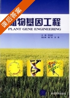 植物基因工程 课后答案 (何光源) - 封面