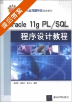 Oracle 11g PL/SQL程序设计教程 课后答案 (薛贵军 周振江) - 封面