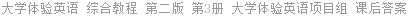 大学体验英语 综合教程 第二版 第3册 大学体验英语项目组 课后答案