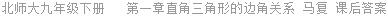 北师大九年级下册   第一章直角三角形的边角关系 马复 课后答案
