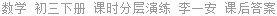 数学 初三下册 课时分层演练 李一安 课后答案