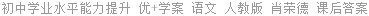初中学业水平能力提升 优+学案 语文 人教版 肖荣德 课后答案