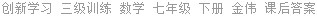 创新学习 三级训练 数学 七年级 下册 金伟 课后答案