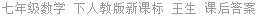 七年级数学 下人教版新课标 王生 课后答案