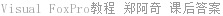 Visual FoxPro教程 郑阿奇 课后答案