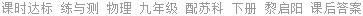 课时达标 练与测 物理 九年级 配苏科 下册 黎启阳 课后答案