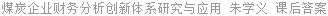 煤炭企业财务分析创新体系研究与应用 朱学义 课后答案