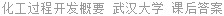 化工过程开发概要 武汉大学 课后答案