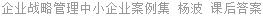 企业战略管理中小企业案例集 杨波 课后答案
