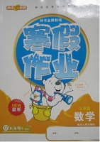 快乐假期 寒假作业 九年级 数学 答案 延边人民出版社 - 封面