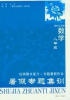 暑假专题集训 八年级 数学 答案 (肖文) 江苏人民出版社 - 封面